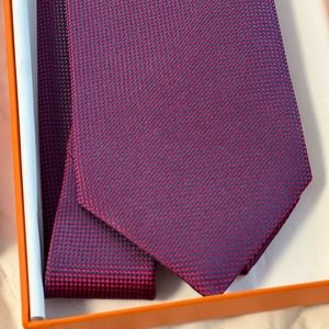 Hermes NWT mens tie